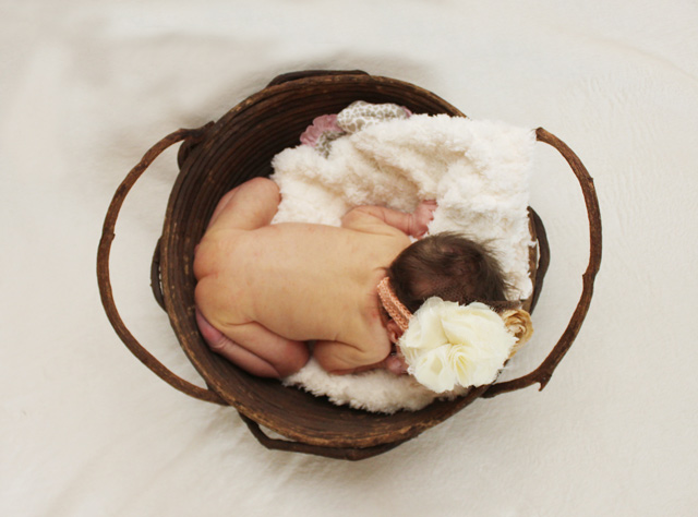 girl newborn photos basket
